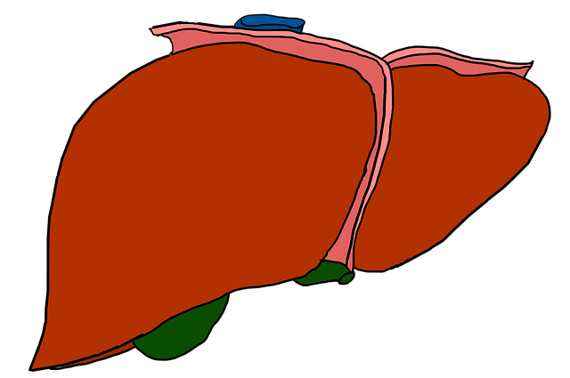 gall bladder cancer